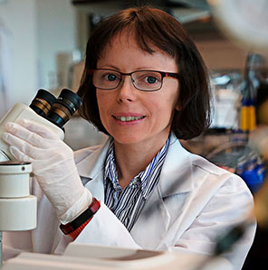 Cancer researcher at the Burnett School of Biomedical Sciences, Dr. Alicja Copik.
